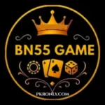 BN55 Game