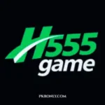 H555 Game