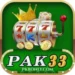 PAK33 Game