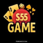 S55 Game