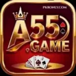 A55 Game
