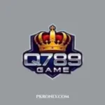 Q789 Game