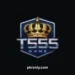 T555 Game