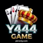Y444 Game